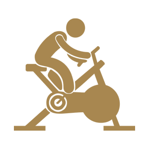 Gymnasium