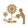 LANDSCAPE GARDEN LANDSCAPE GARDEN